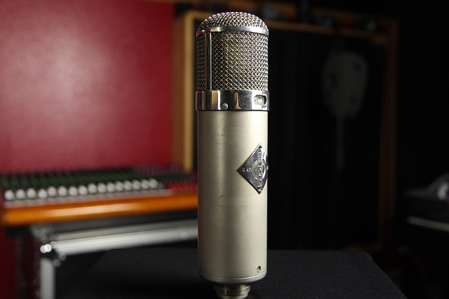 microphone-834821_640